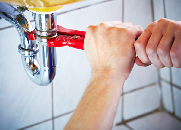 About Rose Plumbers